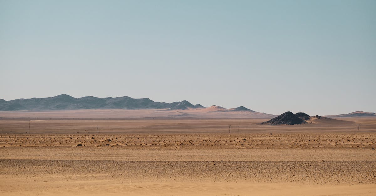 découvrez comment atteindre la neutralité climatique grâce à des actions concrètes pour réduire les émissions de carbone, préserver l’environnement et construire un avenir durable pour tous.
