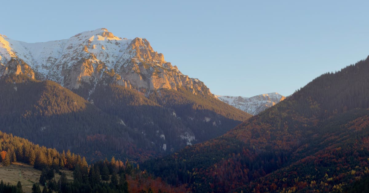découvrez les enjeux et les solutions des politiques climatiques : stratégies, actions gouvernementales et innovations pour lutter contre le changement climatique à l'échelle mondiale.