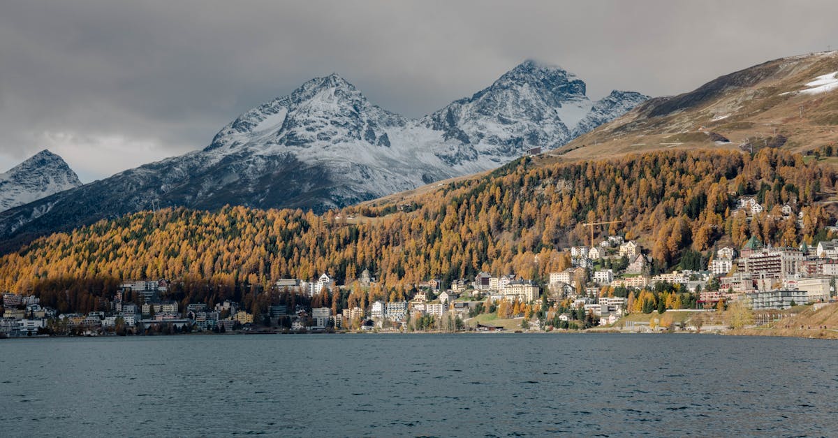 découvrez les enjeux, objectifs et impacts de la politique climatique, ainsi que les stratégies pour lutter contre le changement climatique et favoriser un avenir durable.
