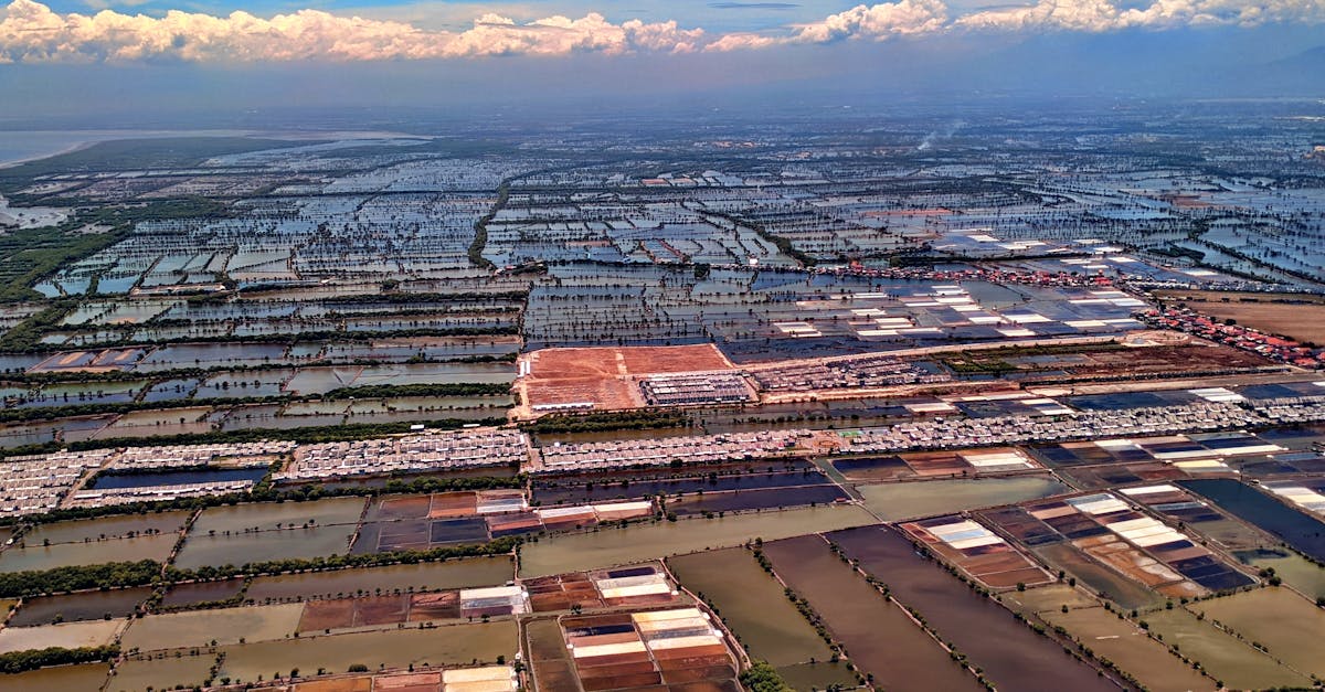 découvrez les enjeux, objectifs et solutions des politiques climatiques pour lutter contre le réchauffement climatique et assurer un avenir durable.