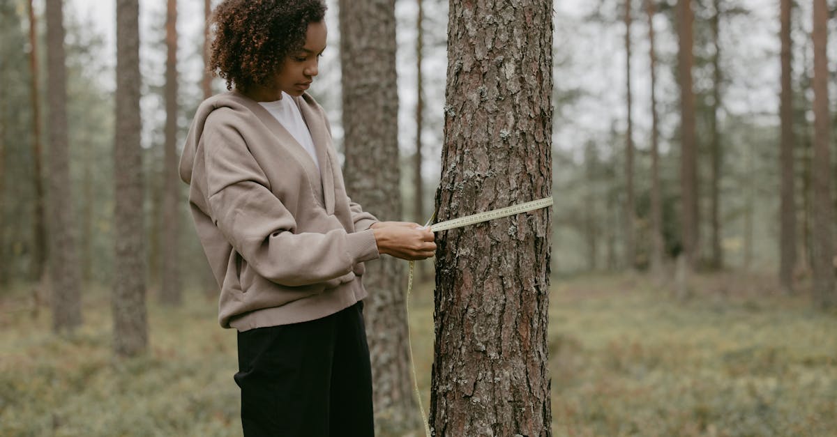 découvrez les dernières avancées et études sur le changement climatique, les solutions innovantes et l'impact environnemental grâce à nos recherches approfondies sur le climat.