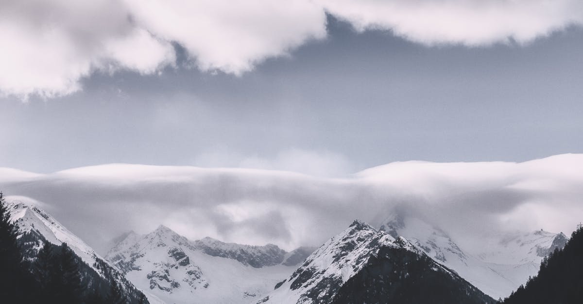 découvrez les enjeux et les solutions discutés lors du climate summit, un sommet international où experts, décideurs et citoyens s’unissent pour lutter contre le changement climatique et bâtir un avenir durable.
