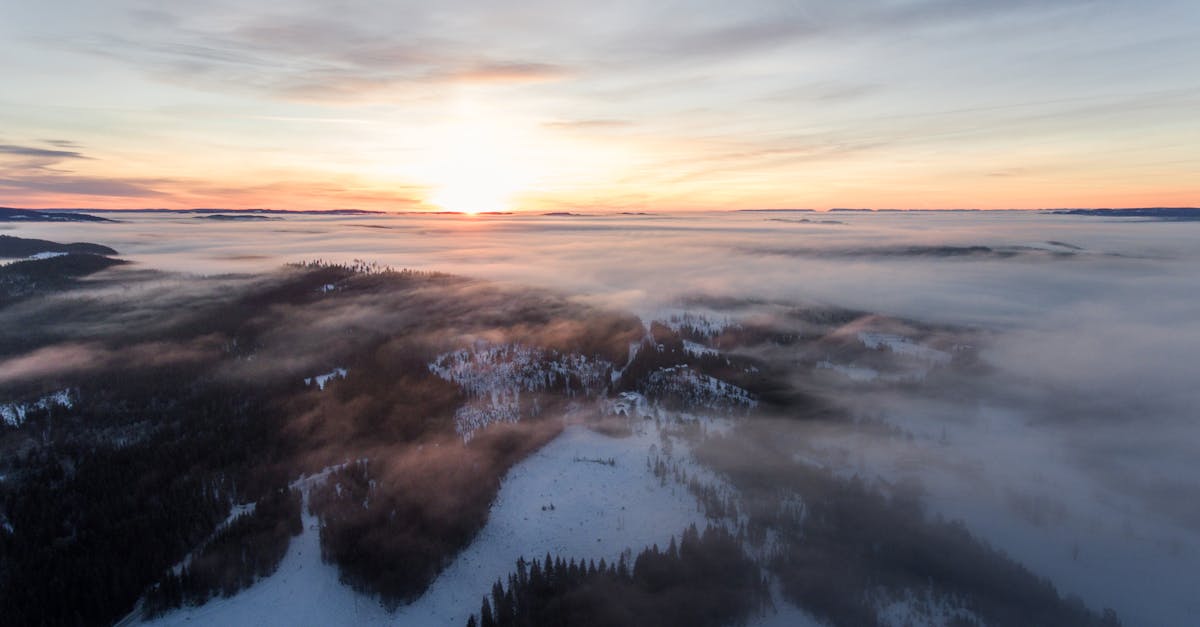 découvrez les dernières actualités, analyses et solutions sur le climat : impacts du changement climatique, initiatives écologiques et conseils pour agir au quotidien afin de préserver notre planète.