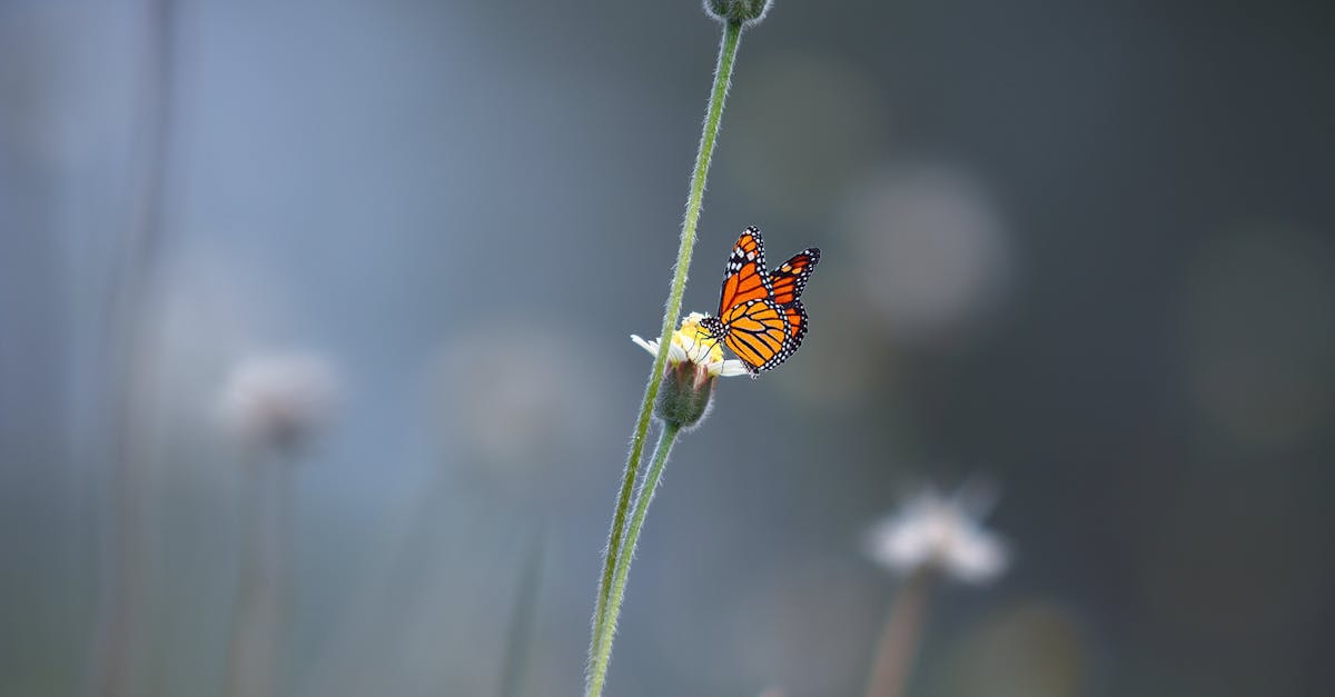 découvrez comment la transformation écologique révolutionne nos modes de vie et d'entreprise en conciliant développement durable et innovation pour préserver la planète.
