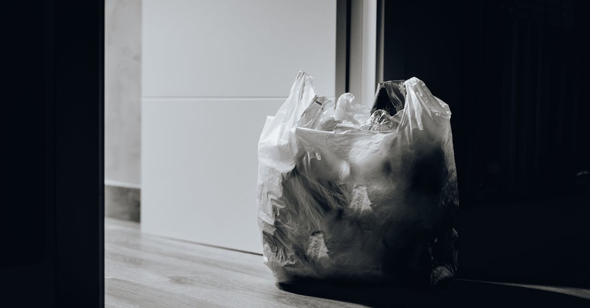 découvrez des articles, des conseils et des actualités sur l'environnement, la protection de la planète, le développement durable et les solutions écologiques pour un avenir plus vert.