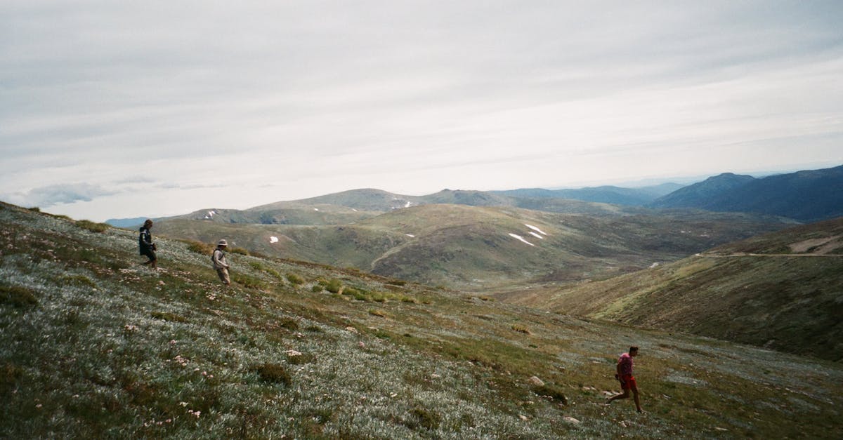 découvrez les principaux défis environnementaux actuels, leurs impacts sur la planète et les solutions à envisager pour protéger l’environnement et assurer un avenir durable.