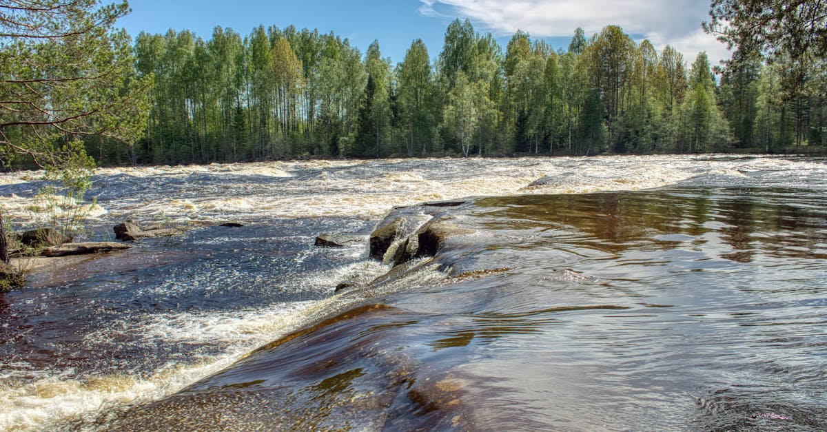 découvrez ce qu'est la régression environnementale, ses causes, ses impacts sur les écosystèmes et les solutions pour lutter contre la dégradation de l'environnement.