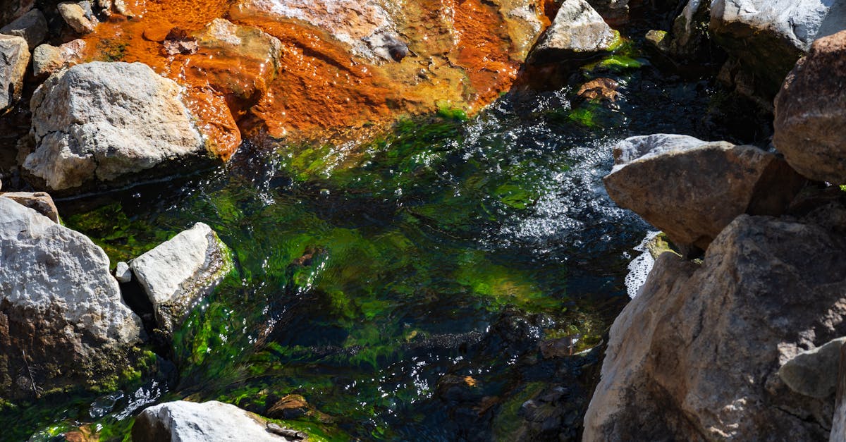 découvrez ce qu'est la régression environnementale, ses causes et ses impacts sur les écosystèmes. informez-vous sur les solutions possibles pour lutter contre la dégradation de l'environnement.