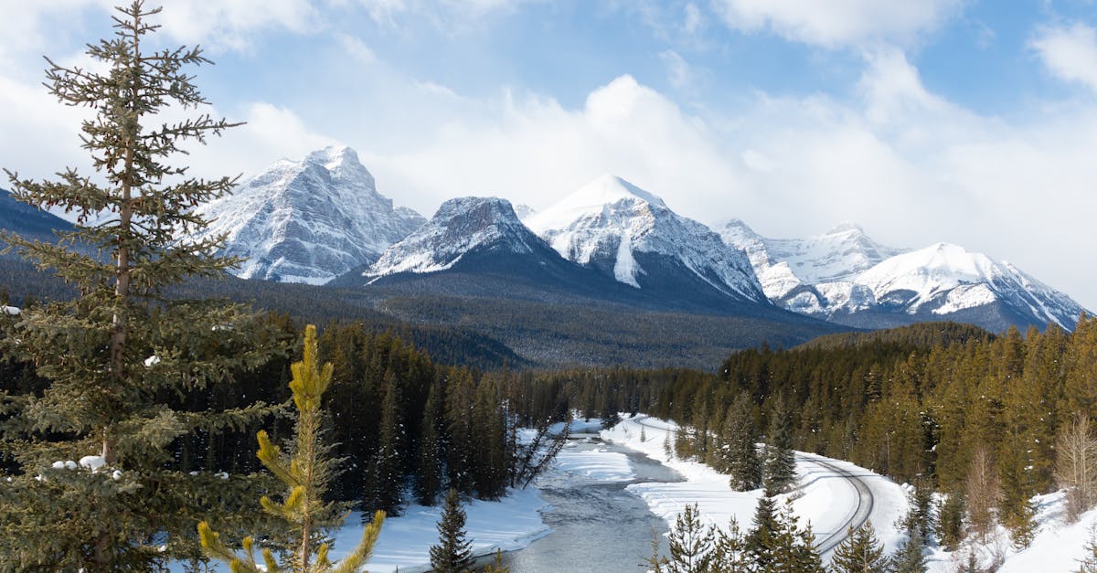 découvrez l'importance des forêts, leur biodiversité unique et leur rôle essentiel pour l'environnement. apprenez comment préserver ces écosystèmes vitaux pour la planète et les générations futures.