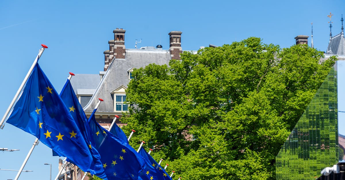 découvrez le concept de la diplomatie verte : comment les relations internationales intègrent les enjeux environnementaux pour favoriser la coopération et le développement durable à l’échelle mondiale.