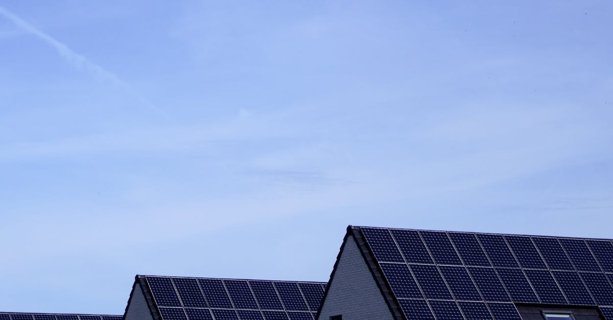 découvrez les dernières avancées en matière d’innovation verte : technologies écologiques, solutions durables et initiatives pour un avenir respectueux de l’environnement.