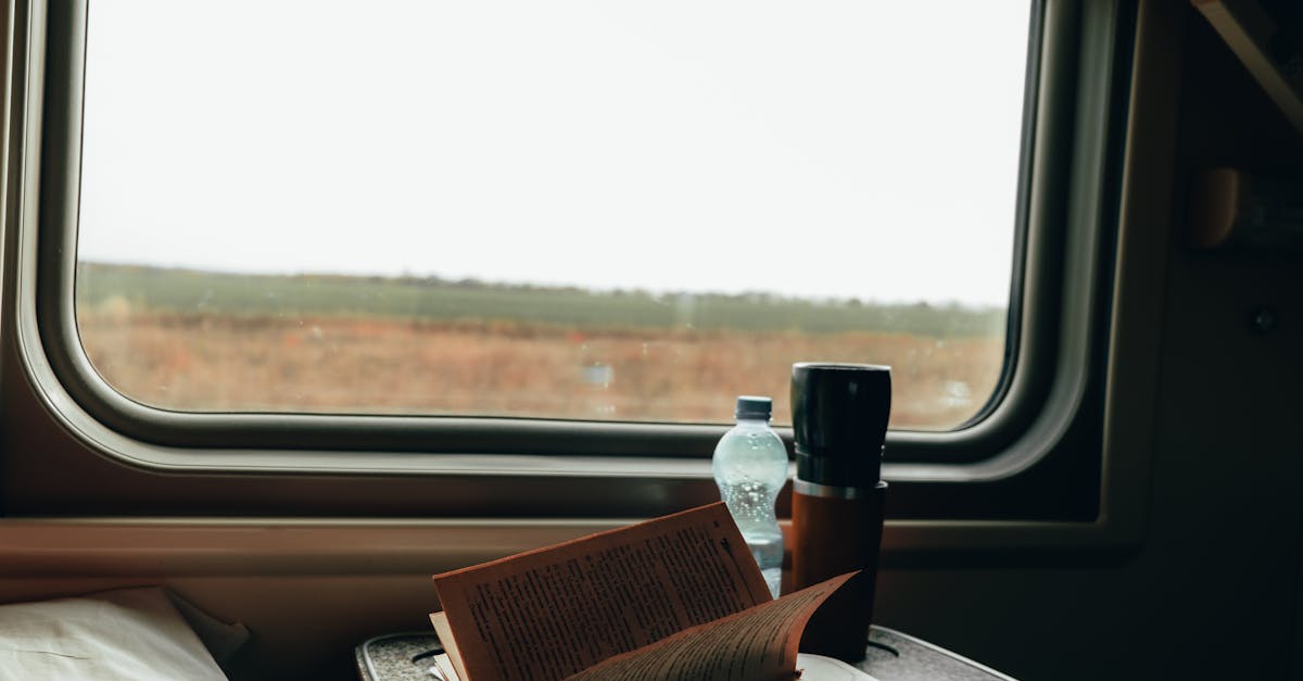 découvrez comment un study trip peut enrichir vos compétences, élargir vos horizons et offrir une expérience d’apprentissage unique à l’étranger. conseils, destinations et avantages à connaître avant de partir.