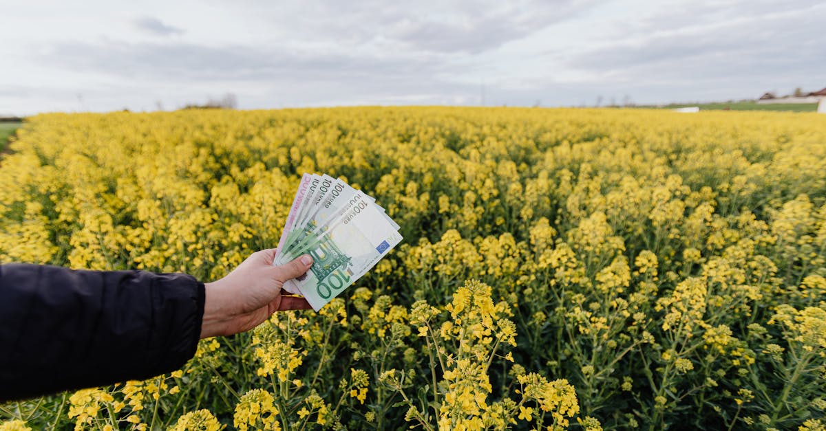 découvrez les principes et les enjeux de la finance durable : comment intégrer les critères environnementaux, sociaux et de gouvernance (esg) dans vos décisions d'investissement pour soutenir une économie responsable et respectueuse de l'environnement.
