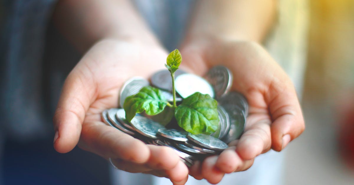 découvrez la finance durable : principes, enjeux et solutions pour investir de manière responsable en conciliant performance financière et impact positif sur l’environnement et la société.
