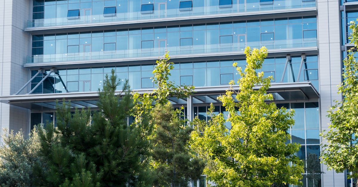 découvrez la finance durable : principes, avantages et solutions pour investir de manière responsable tout en soutenant la transition écologique et sociale.