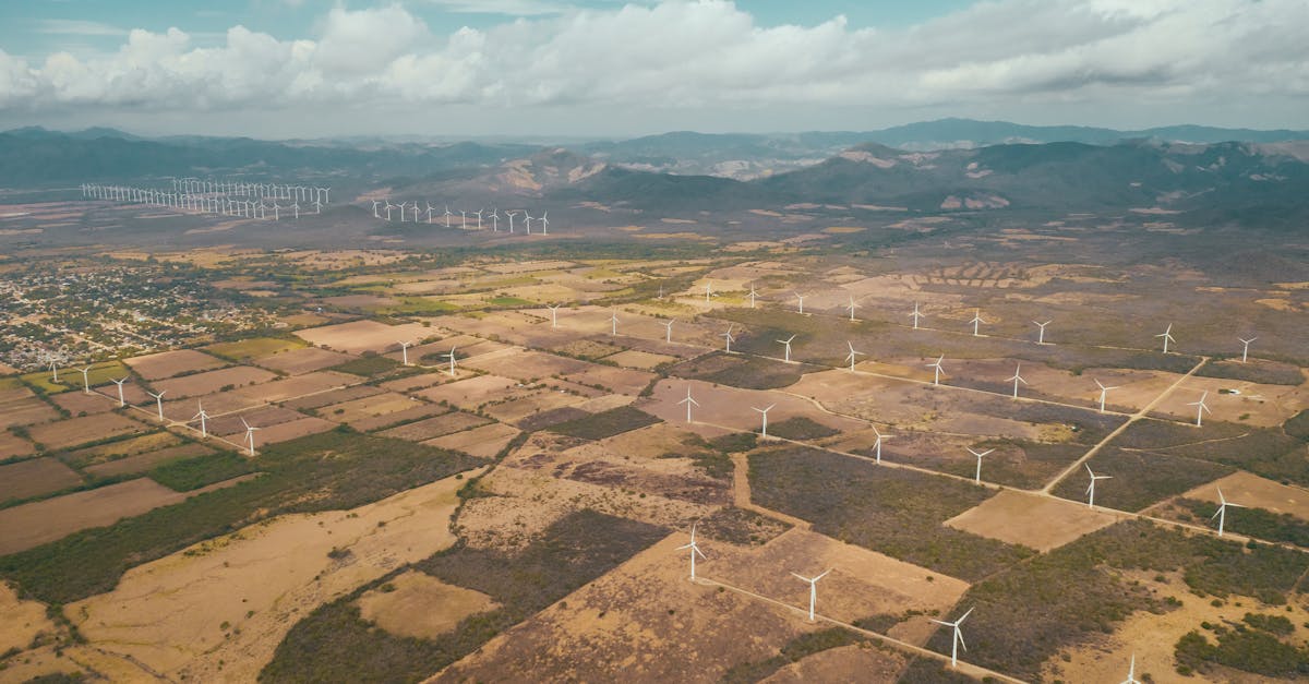 découvrez comment adopter un mode de vie respectueux de l'environnement et contribuer à un avenir durable grâce à des conseils pratiques, des innovations écologiques et des solutions inspirantes.