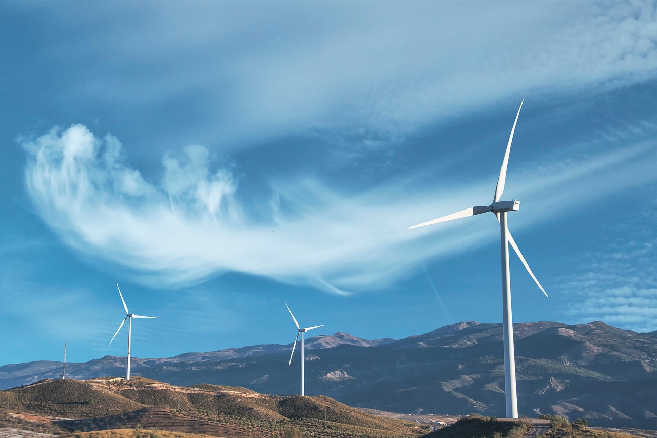 découvrez des pratiques durables et responsables pour préserver l’environnement, réduire votre impact écologique et adopter un mode de vie plus respectueux de la planète.