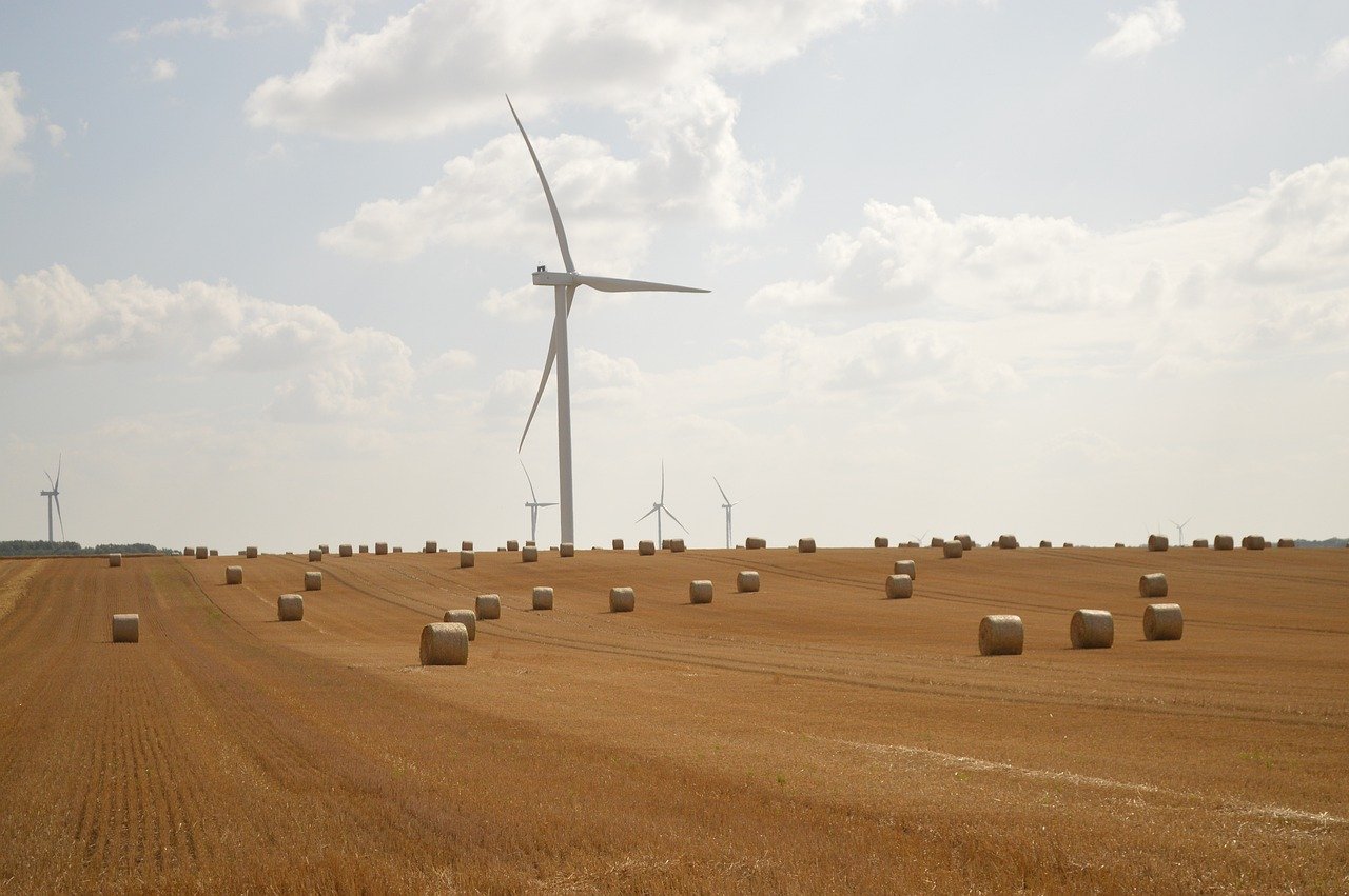 découvrez les pratiques durables essentielles pour protéger l'environnement, optimiser vos ressources et adopter un mode de vie éco-responsable au quotidien.