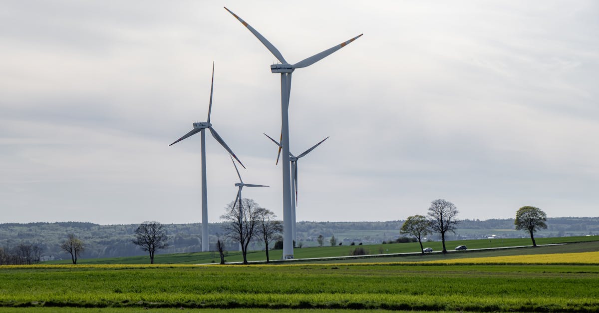 découvrez comment réussir la transition durable en adoptant des pratiques respectueuses de l’environnement et des ressources pour un avenir plus responsable et innovant.