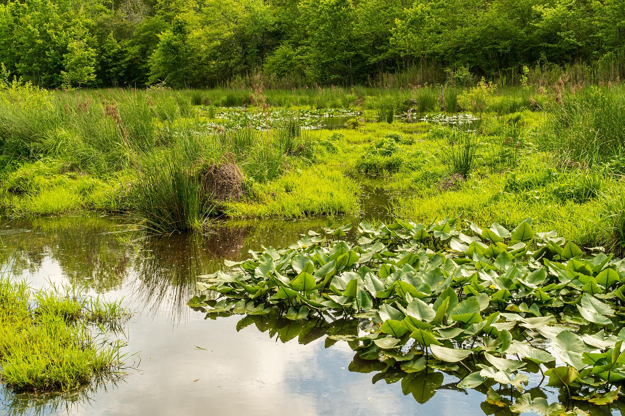 découvrez des conseils et des solutions efficaces pour économiser l’eau au quotidien. adoptez les bons gestes pour la préservation de cette ressource précieuse et réduisez votre consommation d’eau facilement.