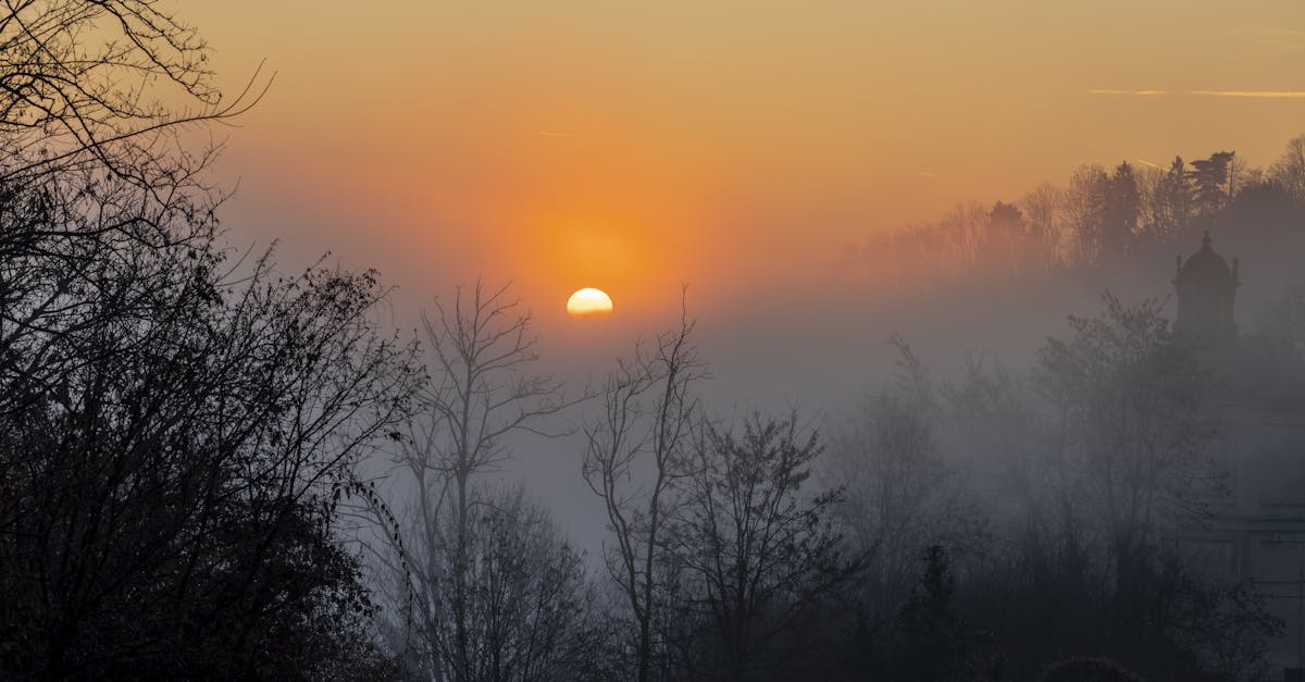 découvrez climate ally, votre partenaire engagé pour la lutte contre le changement climatique. ensemble, agissons pour un avenir durable et respectueux de la planète.