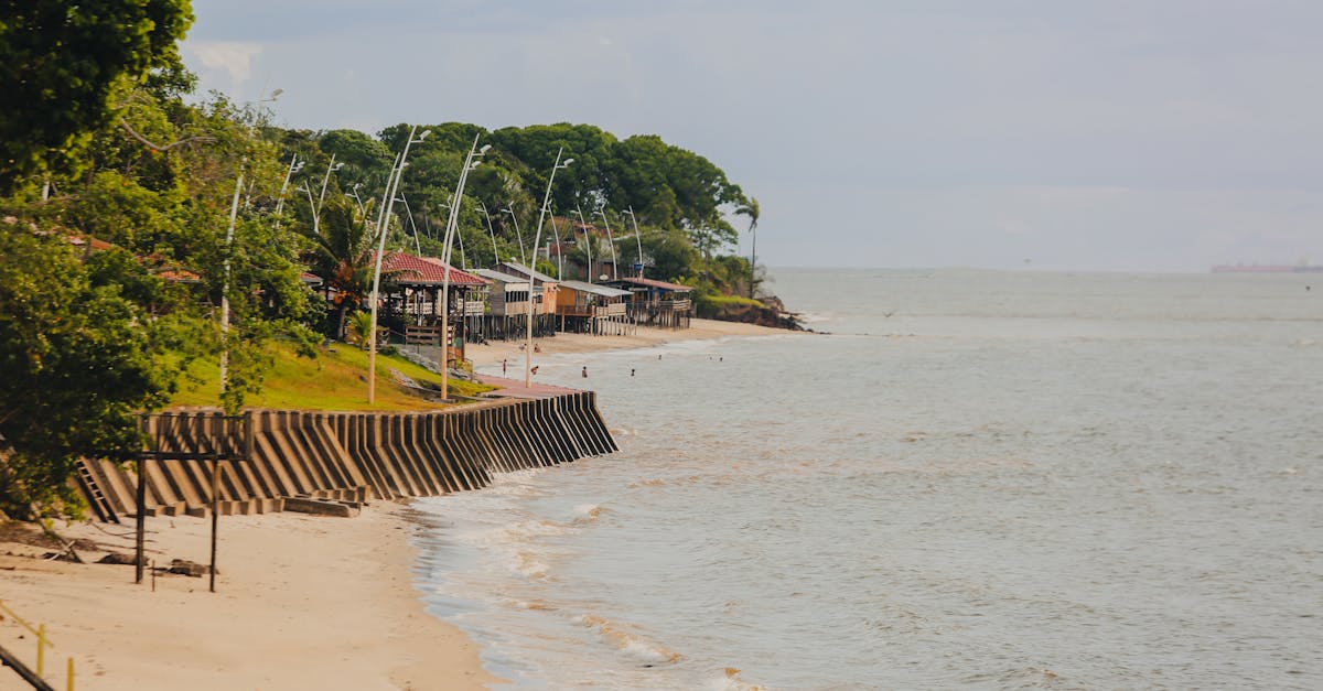 découvrez les enjeux majeurs de la cop30, la conférence des nations unies sur le climat, et les actions mondiales pour lutter contre le changement climatique.