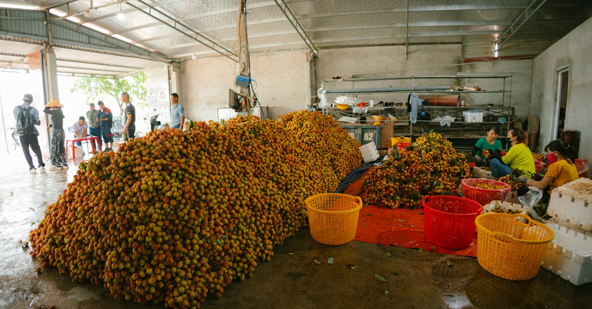 analyse des politiques commerciales de trump et leur impact sur les engagements climatiques internationaux.