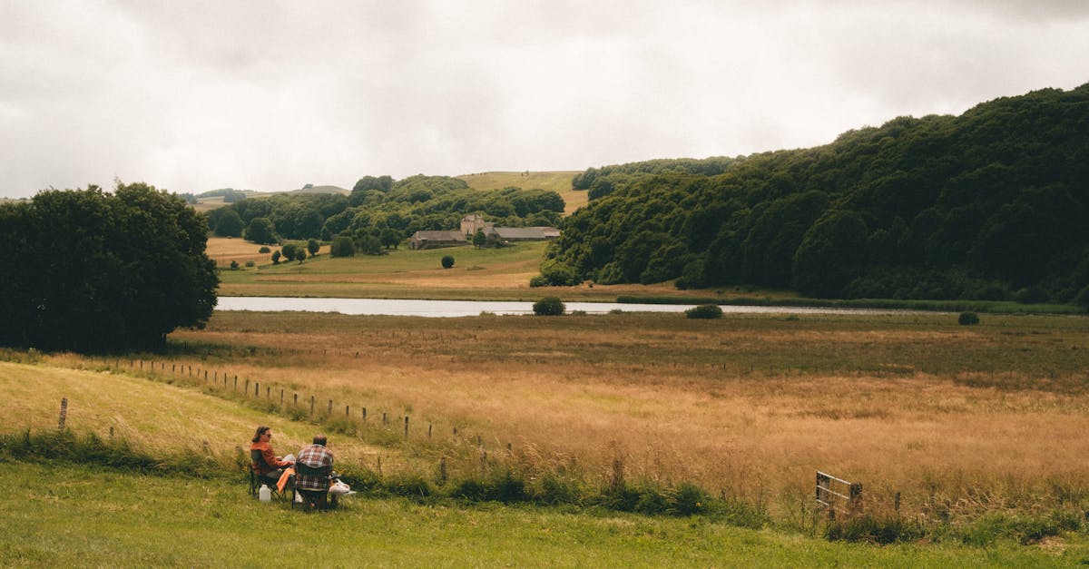explorez la beauté naturelle des forêts françaises, découvrez leur biodiversité unique et profitez de paysages enchanteurs tout au long de l'année.