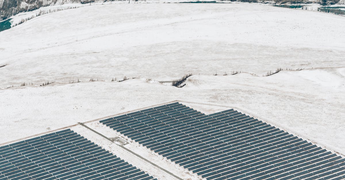 découvrez les enjeux et opportunités de l’investissement climatique : comment orienter votre capital pour soutenir la transition écologique, lutter contre le changement climatique et favoriser un avenir durable.