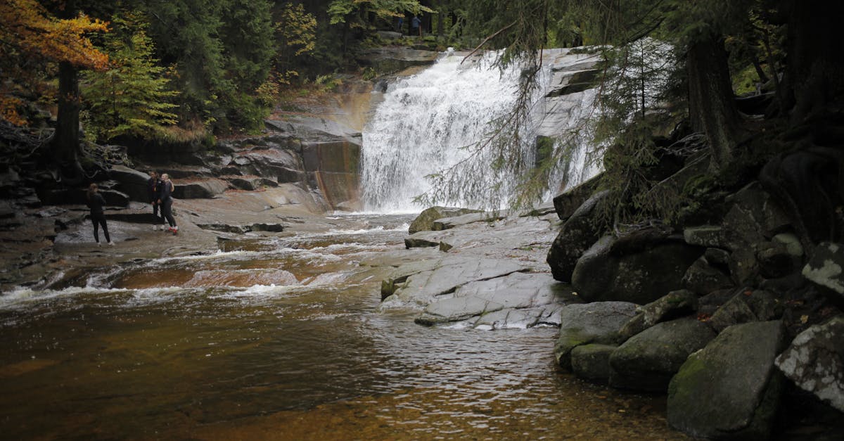 découvrez le european green deal, l'initiative phare de l'union européenne pour une croissance durable, visant à neutraliser les émissions de carbone d'ici 2050 et protéger notre planète.