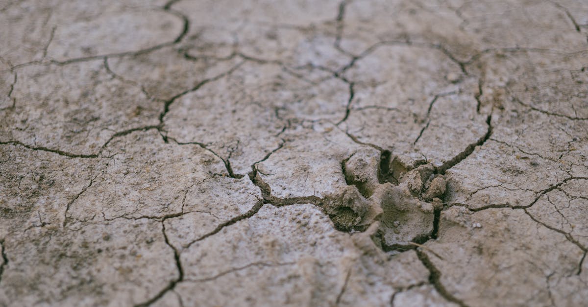 découvrez ce qu’est la sécheresse, ses causes, ses impacts sur l’environnement et les solutions pour y faire face. informez-vous sur les conséquences de la sécheresse et comment s’y préparer.
