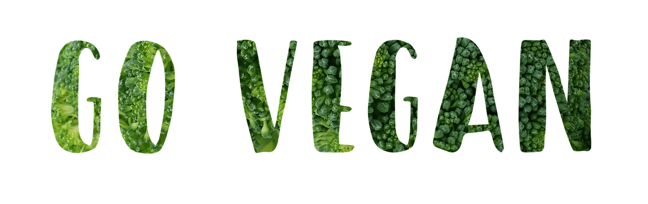 découvrez la mode durable et éthique : des vêtements respectueux de l'environnement et des conditions de travail équitables, alliant style et responsabilité.