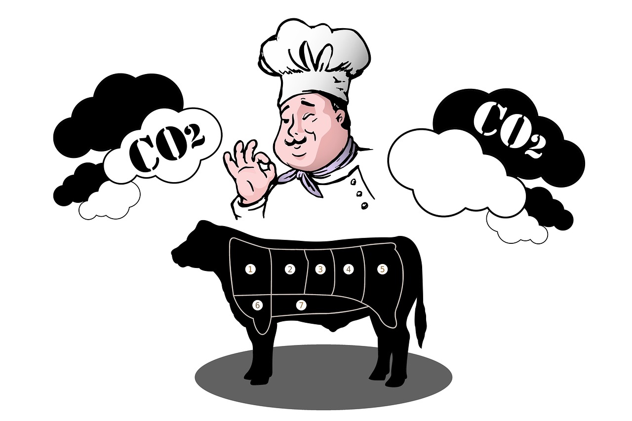 découvrez ce qu'est l'empreinte carbone, comment la mesurer et des conseils pratiques pour la réduire afin de contribuer à la protection de l'environnement.