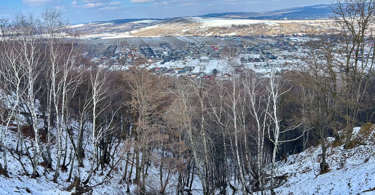 découvrez le concept de fédéralisme climatique, une approche qui répartit les responsabilités et les actions contre le changement climatique entre les différents niveaux de gouvernement pour une meilleure coopération et efficacité.