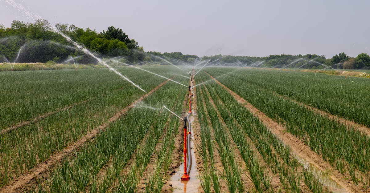 découvrez les stratégies et solutions pour l’adaptation au changement climatique : renforcer la résilience, protéger les écosystèmes et préparer l’avenir face aux défis climatiques.