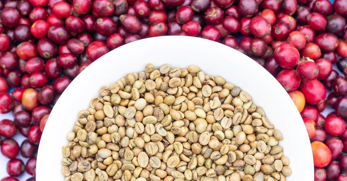 découvrez les stratégies et solutions innovantes pour l'adaptation au changement climatique, afin de protéger les communautés et les écosystèmes face aux défis environnementaux actuels.