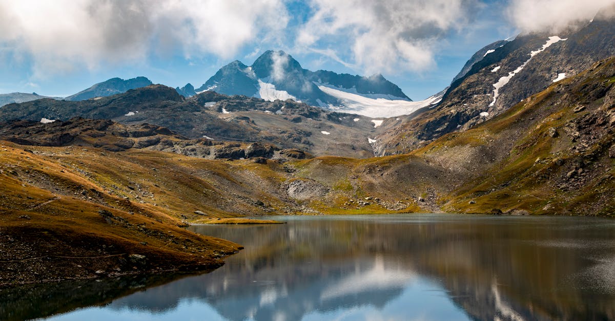découvrez climate ally, votre partenaire engagé pour un avenir durable et la lutte contre le changement climatique.