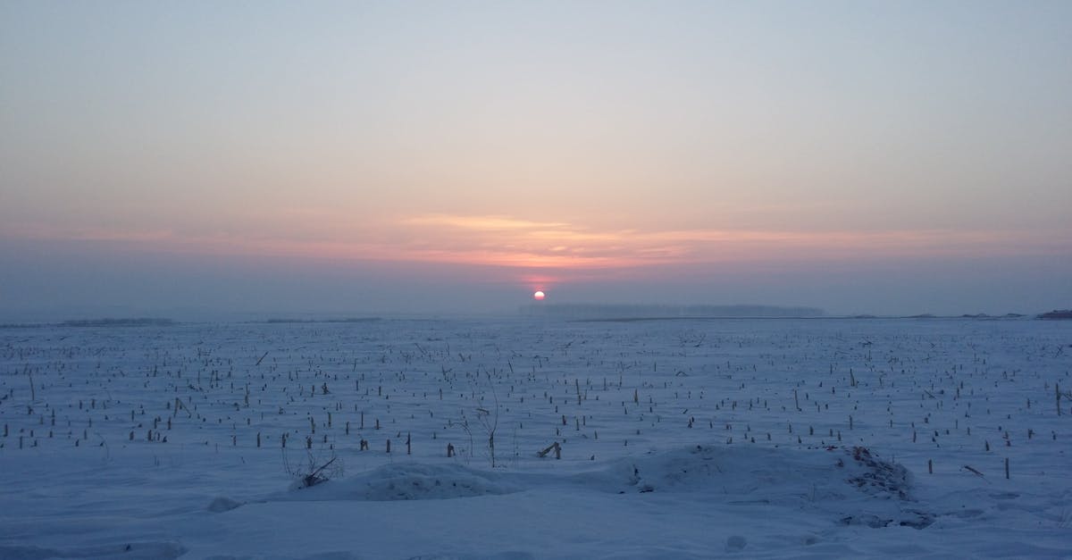 climate ally est une initiative dédiée à la lutte contre le changement climatique, offrant des solutions innovantes et un engagement concret pour un avenir durable.