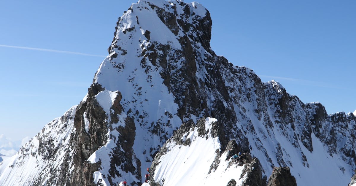 explorez les défis climatiques mondiaux et découvrez les solutions pour préserver notre planète face au changement climatique.