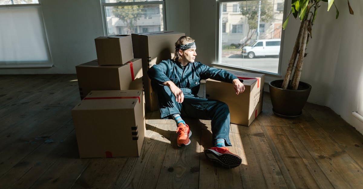 découvrez les stratégies et solutions pour s'adapter aux effets du changement climatique, protéger les écosystèmes et assurer un avenir durable.