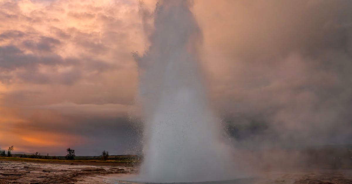 découvrez les impacts majeurs de la perturbation climatique sur notre environnement et les actions essentielles pour préserver notre planète.