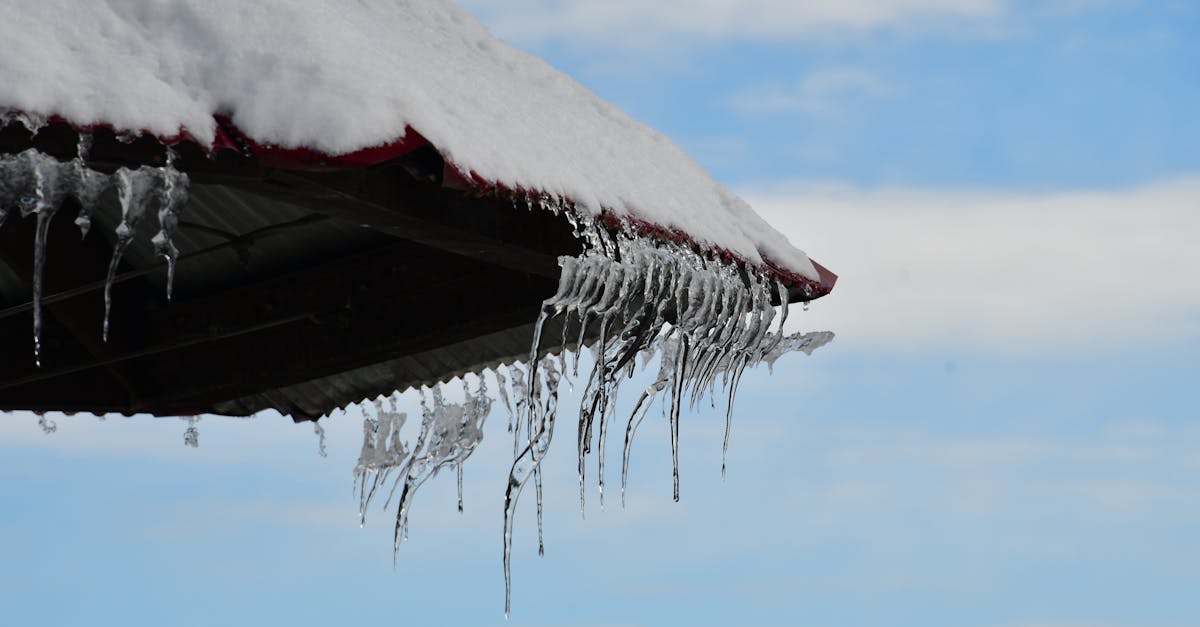 découvrez le fédéralisme climatique, un modèle de gouvernance qui répartit les responsabilités environnementales entre les différents niveaux de gouvernement pour une action efficace contre le changement climatique.