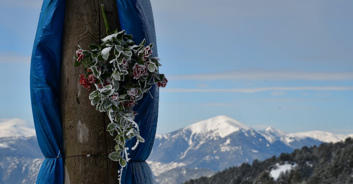 découvrez le concept de fédéralisme climatique, une approche qui favorise la collaboration entre différents niveaux de gouvernement pour lutter efficacement contre le changement climatique.
