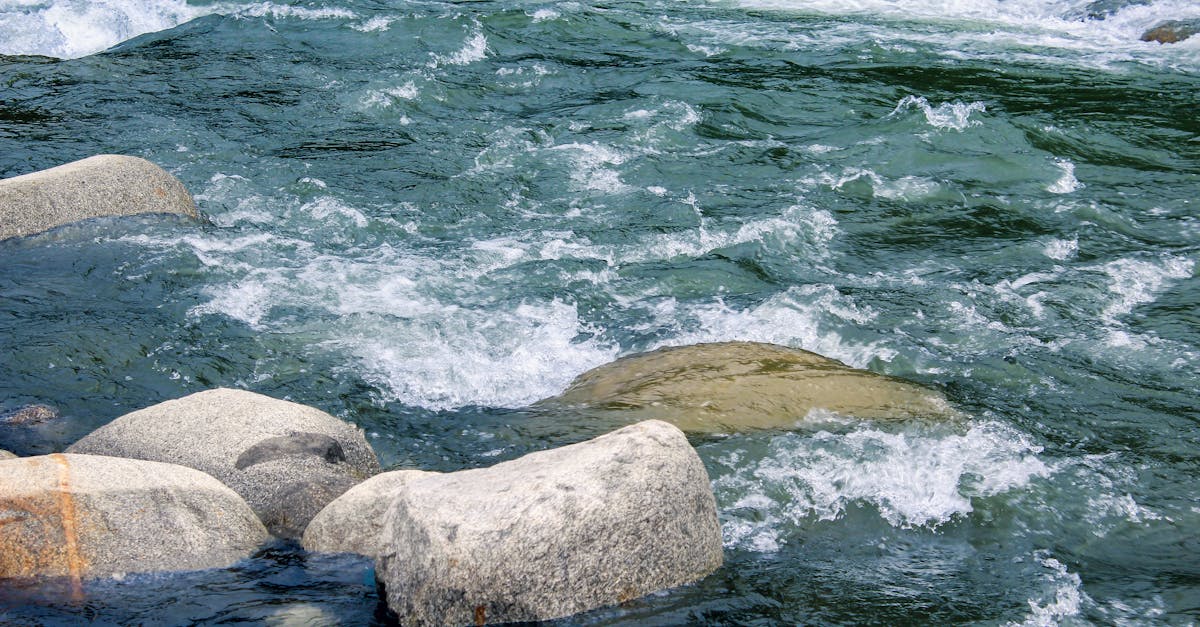 découvrez les enjeux de la désinformation climatique, ses impacts sur l'opinion publique et les moyens de lutter contre les fausses informations liées au changement climatique.