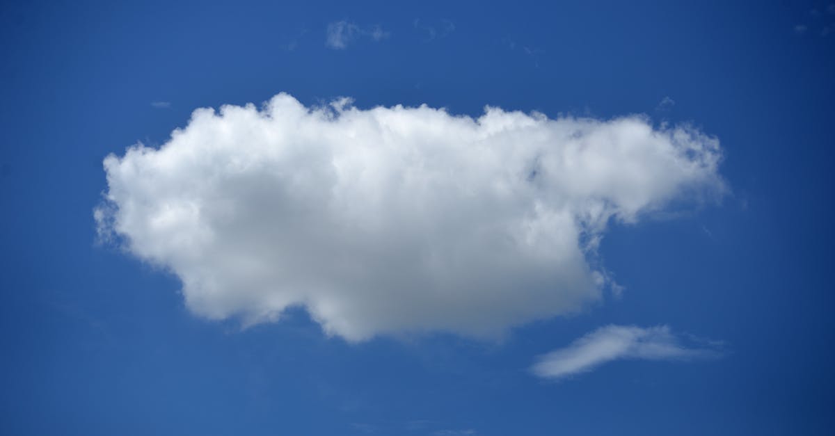 découvrez les enjeux de la désinformation climatique et comment lutter contre les fausses informations sur le changement climatique.