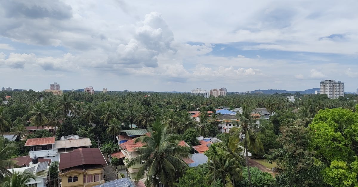 découvrez les enjeux de la désinformation climatique et apprenez à distinguer les faits scientifiques des fausses informations sur le climat.