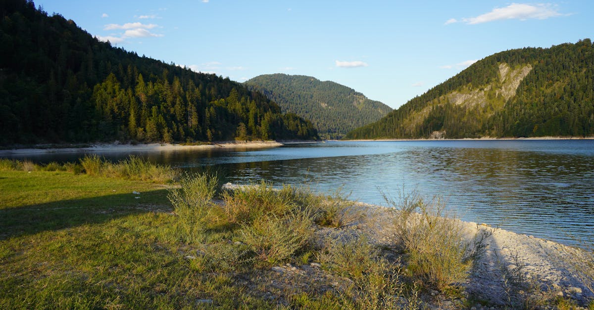 découvrez comment lutter contre la désinformation sur le climat et promouvoir des informations scientifiques fiables pour un avenir durable.