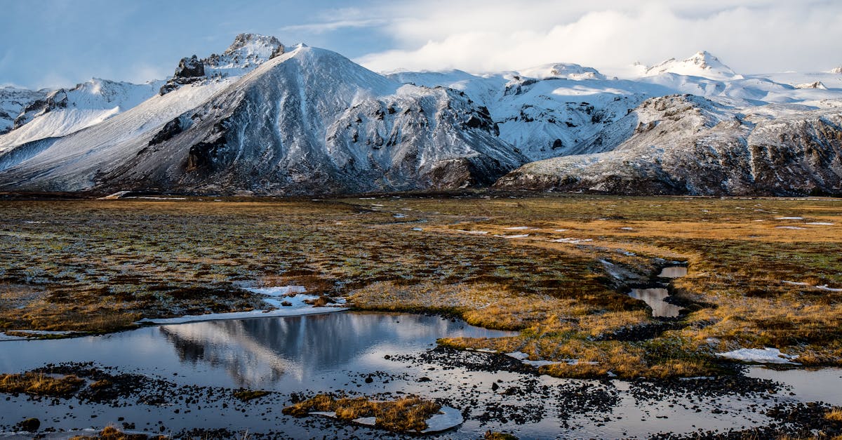 découvrez les enjeux et actions des sommets climatiques mondiaux pour lutter contre le changement climatique et préserver notre planète.
