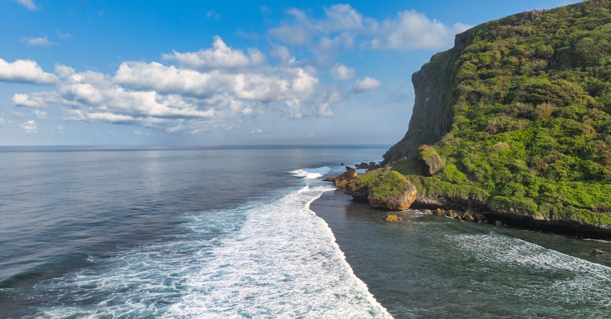 atelier sur le climat : participez à notre workshop interactif pour comprendre les enjeux climatiques et découvrir des solutions durables pour l'avenir de notre planète.