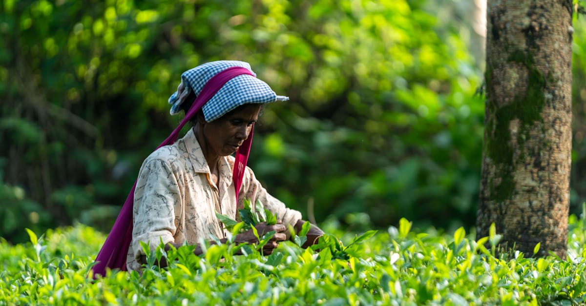 participez à notre atelier sur le climat pour découvrir des solutions innovantes et agir concrètement contre le changement climatique.